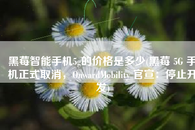 黑莓智能手机5g的价格是多少(黑莓 5G 手机正式取消，OnwardMobility 官宣：停止开发)