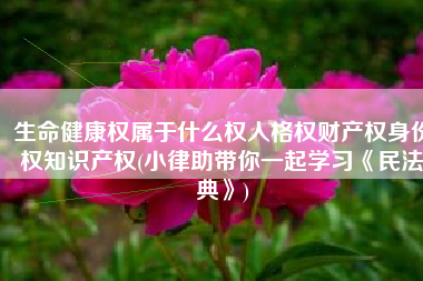 生命健康权属于什么权人格权财产权身份权知识产权(小律助带你一起学习《民法典》)