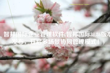 智邦国际企业管理软件(智邦国际31.86版本发布，开启多场景协同管理模式！)