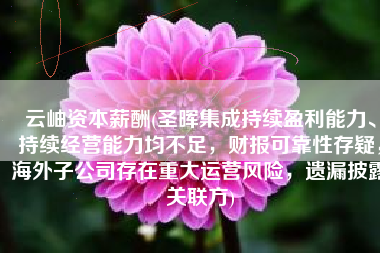 云岫资本薪酬(圣晖集成持续盈利能力、持续经营能力均不足，财报可靠性存疑，海外子公司存在重大运营风险，遗漏披露关联方)