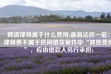 聘请律师属于什么费用(最高法民一庭：律师费不属于民间借贷案件中“其他费用”，应由借款人另行承担)