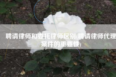 聘请律师和委托律师区别(聘请律师代理案件的重要性)