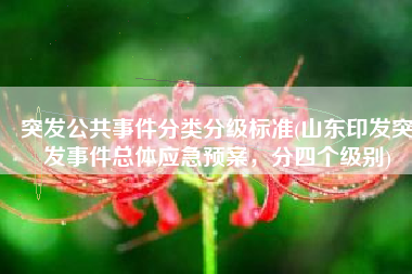 突发公共事件分类分级标准(山东印发突发事件总体应急预案，分四个级别)