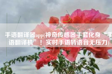 手语翻译器app(神奇传感器手套化身“手语翻译机”！实时手语转语音无压力)