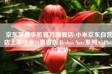 京东苹果手机官方旗舰店(小米京东自营店上架小米11青春版/Redmi Note系列+iPhone 13套装)