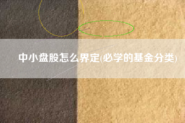 中小盘股怎么界定(必学的基金分类)