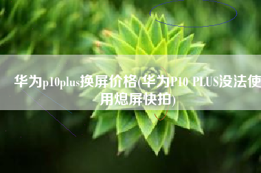 华为p10plus换屏价格(华为P10 PLUS没法使用熄屏快拍)