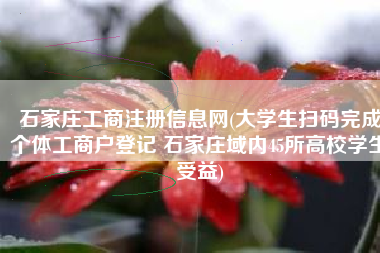 石家庄工商注册信息网(大学生扫码完成个体工商户登记 石家庄域内45所高校学生受益)