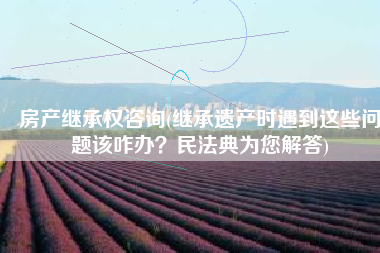 房产继承权咨询(继承遗产时遇到这些问题该咋办？民法典为您解答)