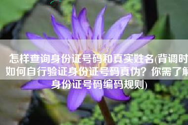 怎样查询身份证号码和真实姓名(背调时如何自行验证身份证号码真伪？你需了解身份证号码编码规则)