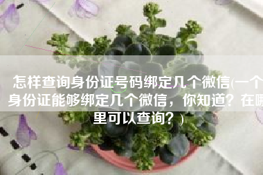 怎样查询身份证号码绑定几个微信(一个身份证能够绑定几个微信，你知道？在哪里可以查询？)