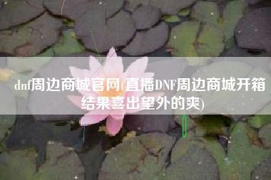 dnf周边商城官网(直播DNF周边商城开箱 结果喜出望外的爽)