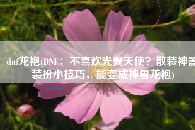 dnf龙袍(DNF：不喜欢光翼天使？散装神器装扮小技巧，能变成神兽龙袍)