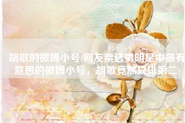 胡歌的微博小号(网友票选男明星中最有意思的微博小号，胡歌竟然只排第二)