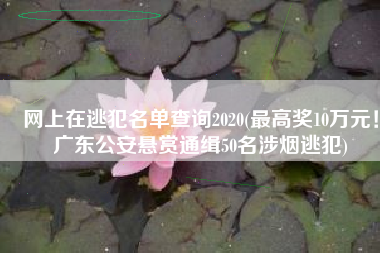 网上在逃犯名单查询2020(最高奖10万元！广东公安悬赏通缉50名涉烟逃犯)