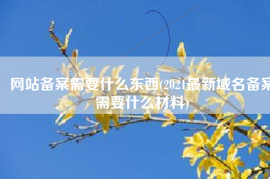 网站备案需要什么东西(2021最新域名备案需要什么材料)