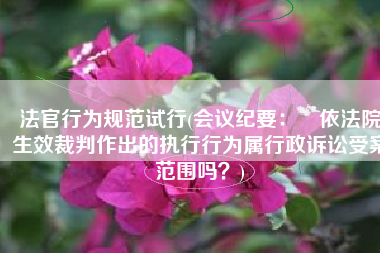 法官行为规范试行(会议纪要：​依法院生效裁判作出的执行行为属行政诉讼受案范围吗？)
