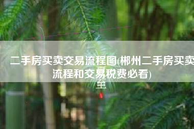 二手房买卖交易流程图(郴州二手房买卖流程和交易税费必看)
