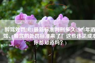 醉驾处罚2021最新标准判刑多久(2021年酒驾、醉驾的处罚标准来了！这些违法成本你都知道吗？)