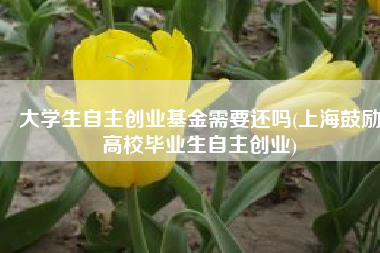 大学生自主创业基金需要还吗(上海鼓励高校毕业生自主创业)