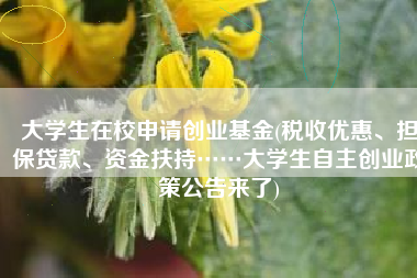 大学生在校申请创业基金(税收优惠、担保贷款、资金扶持……大学生自主创业政策公告来了)