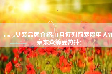 moga女装品牌介绍(11月位列前茅魔甲人VR京东众筹受热捧)