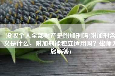 没收个人全部财产是附加刑吗(附加刑含义是什么，附加刑能独立适用吗？律师为您解答)