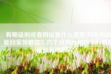 有期徒刑或者拘役是什么意思(判处拘役能回家你敢信？六个月拘役和六个月有期徒刑有啥区别？)