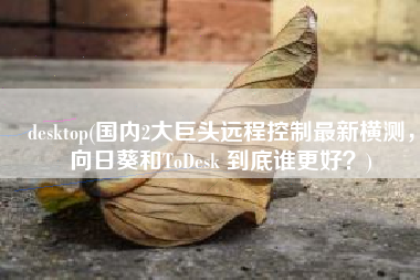 desktop(国内2大巨头远程控制最新横测，向日葵和ToDesk 到底谁更好？)