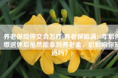 养老保险停交会怎样(养老保险满15年后停缴退休后虽然能拿到养老金，但影响你知道吗？)