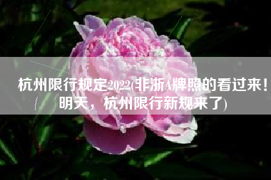 杭州限行规定2022(非浙A牌照的看过来！明天，杭州限行新规来了)