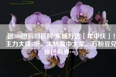 团800团购网官网(东城万达「年中庆」！主力大牌5折、大转盘中大奖、万粉豆兑换团购券…)