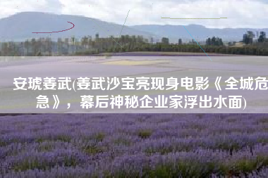 安琥姜武(姜武沙宝亮现身电影《全城危急》，幕后神秘企业家浮出水面)