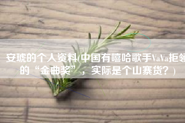 安琥的个人资料(中国有嘻哈歌手VaVa拒领的“金曲奖”，实际是个山寨货？)