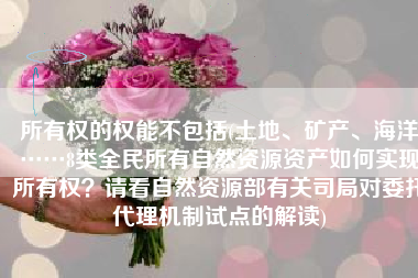 所有权的权能不包括(土地、矿产、海洋……8类全民所有自然资源资产如何实现所有权？请看自然资源部有关司局对委托代理机制试点的解读)