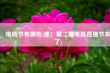 电商节有哪些(速！第二届电商直播节来了)
