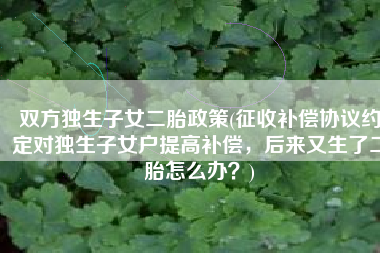 双方独生子女二胎政策(征收补偿协议约定对独生子女户提高补偿，后来又生了二胎怎么办？)