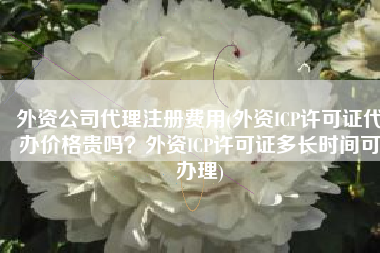 外资公司代理注册费用(外资ICP许可证代办价格贵吗？外资ICP许可证多长时间可办理)