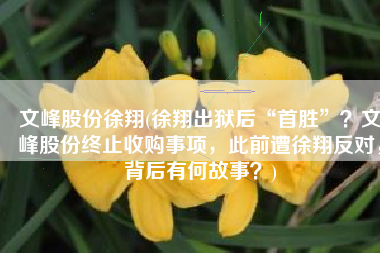 文峰股份徐翔(徐翔出狱后“首胜”？文峰股份终止收购事项，此前遭徐翔反对，背后有何故事？)