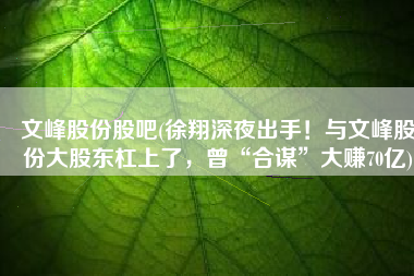 文峰股份股吧(徐翔深夜出手！与文峰股份大股东杠上了，曾“合谋”大赚70亿)