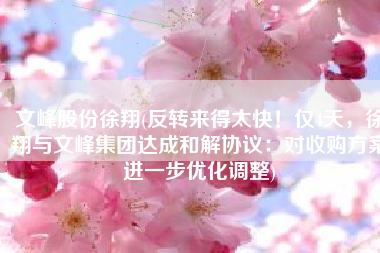 文峰股份徐翔(反转来得太快！仅4天，徐翔与文峰集团达成和解协议：对收购方案进一步优化调整)