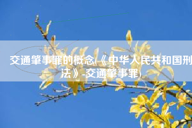 交通肇事罪的概念(《中华人民共和国刑法》-交通肇事罪)