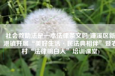 社会救助法是一本法律条文吗(濂溪区新港镇开展“美好生活·民法典相伴”暨农村“法律明白人”培训课堂)