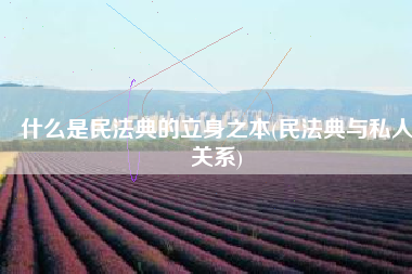 什么是民法典的立身之本(民法典与私人关系)
