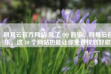 网易云官方网站(除了 QQ 音乐、网易云音乐，这 10 个网站也能让你免费找到好歌)