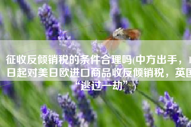 征收反倾销税的条件合理吗(中方出手，10日起对美日欧进口商品收反倾销税，英国“逃过一劫”)