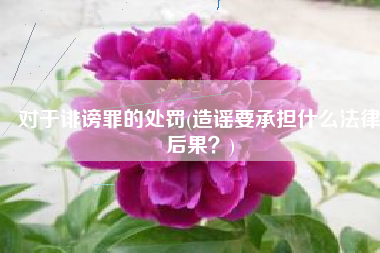 对于诽谤罪的处罚(造谣要承担什么法律后果？)