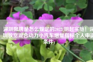 深圳限牌是怎么规定的2022(明起实施！深圳放宽混合动力小汽车增量指标个人申请条件)