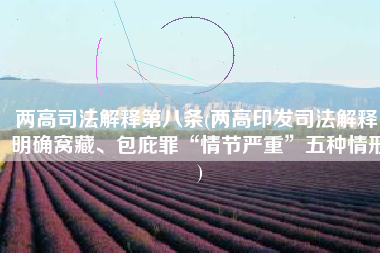 两高司法解释第八条(两高印发司法解释 明确窝藏、包庇罪“情节严重”五种情形)