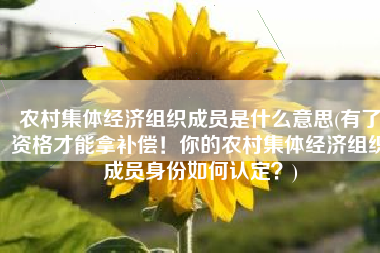 农村集体经济组织成员是什么意思(有了资格才能拿补偿！你的农村集体经济组织成员身份如何认定？)